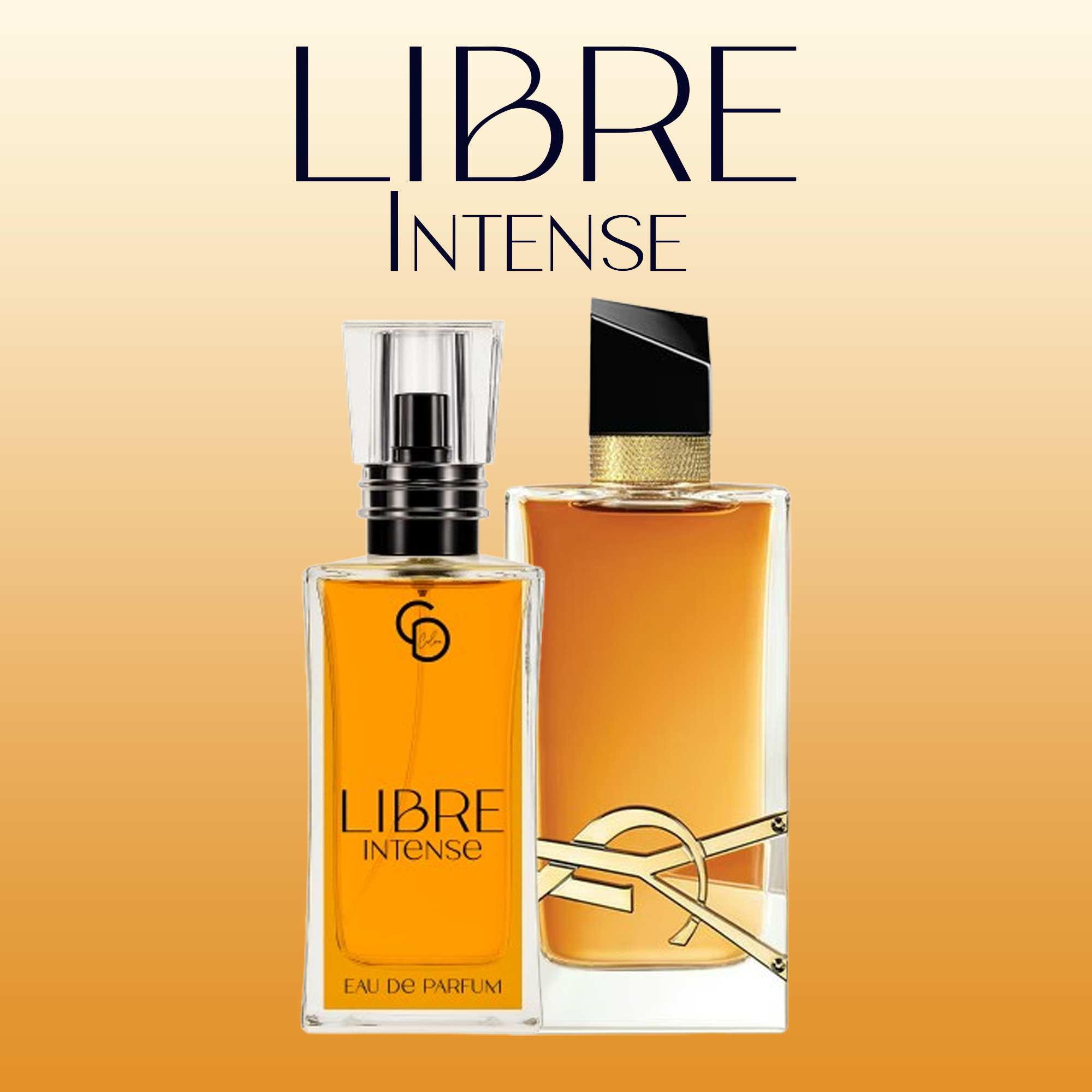 LIB-INTENSE