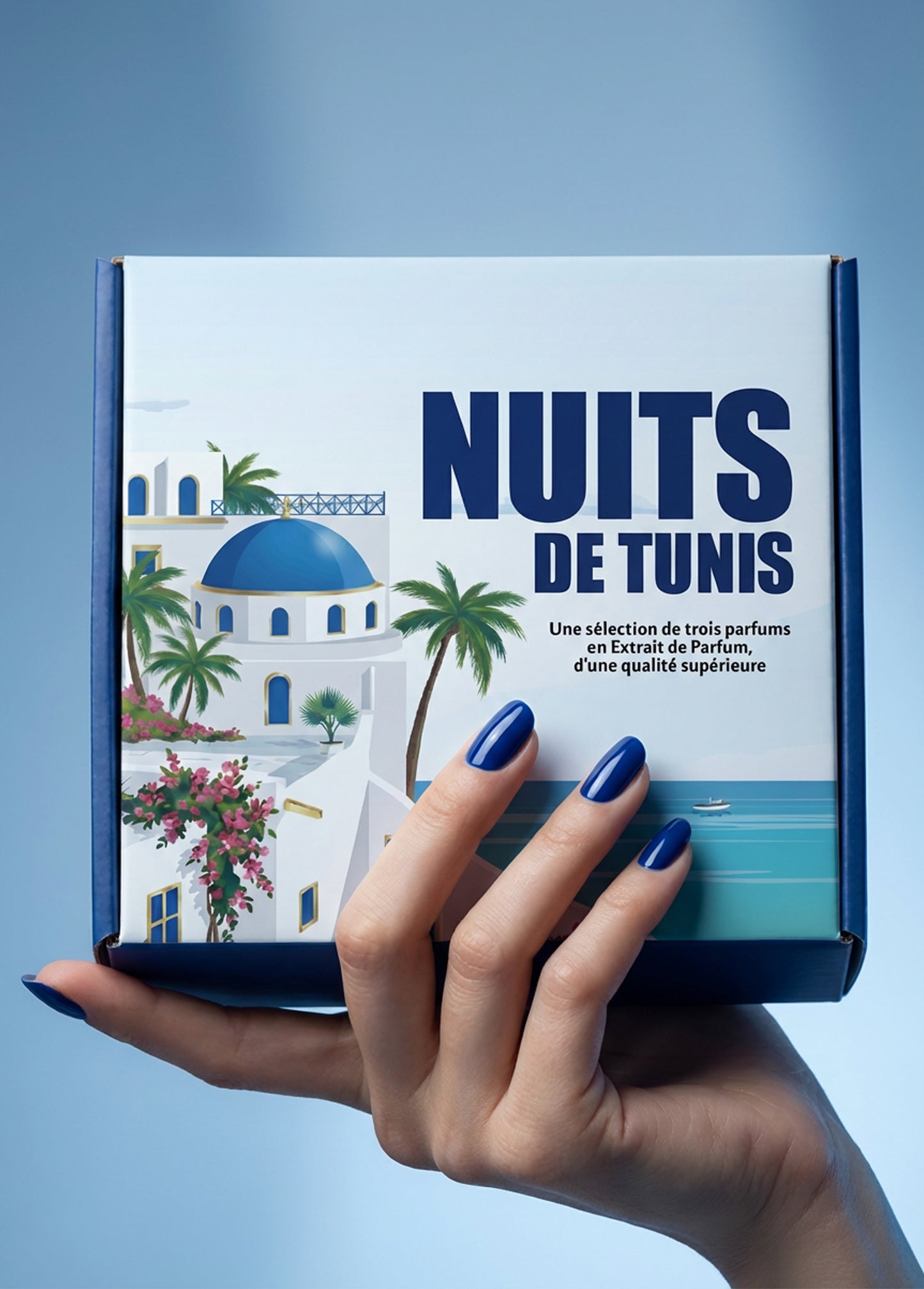 PACK NUITS DE TUNIS